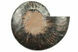 Cut & Polished Ammonite Fossil (Half) - Unusual Black Color #241551-1